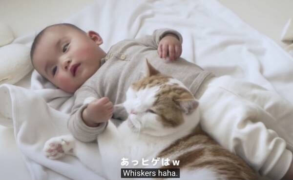 赤ちゃんと猫８
