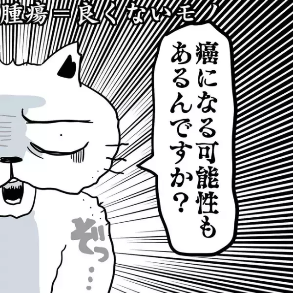 ＜卵巣のう腫体験談＞「ゾッとした」見つかったのは、私が予想もしていなかったモノで…！？