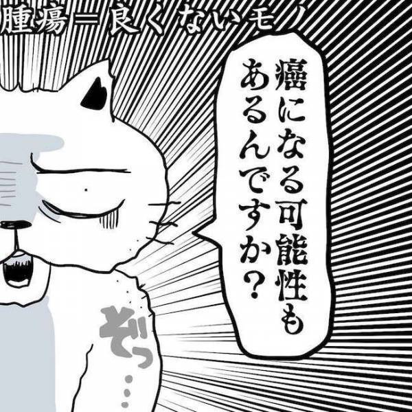 ＜卵巣のう腫体験談＞「手術の場合もあります」人ごとだと思っていた検査を、自分が受けることに…！？