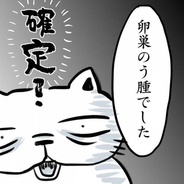 ＜卵巣のう腫体験談＞「手術です」ずっと健康だったのに…突然の宣告！？