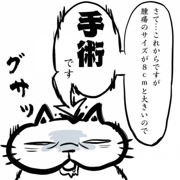 ＜卵巣のう腫体験談＞「手術です」ずっと健康だったのに…突然の宣告！？