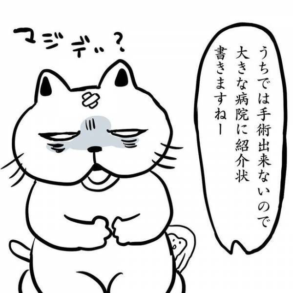 ＜卵巣のう腫体験談＞「今すぐ手術！？」心の準備ができないまま、医師に告げられたのは…