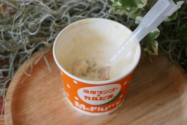 【マクドナルド】期間限定の新作マックフルーリーが話題！人気商品との食べ合わせ裏技を正直レビュー！