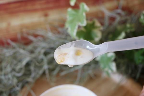 【マクドナルド】期間限定の新作マックフルーリーが話題！人気商品との食べ合わせ裏技を正直レビュー！