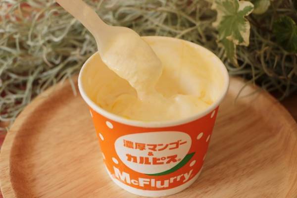【マクドナルド】期間限定の新作マックフルーリーが話題！人気商品との食べ合わせ裏技を正直レビュー！