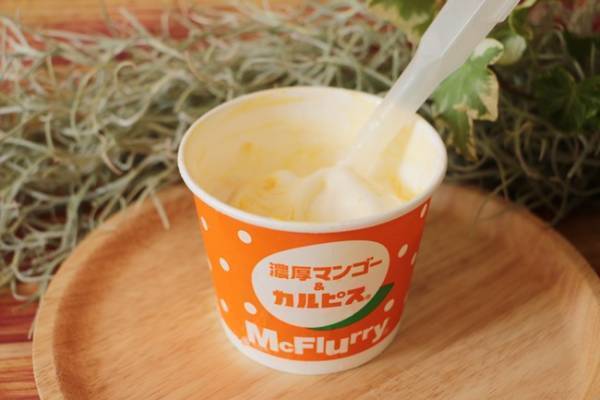 【マクドナルド】期間限定の新作マックフルーリーが話題！人気商品との食べ合わせ裏技を正直レビュー！