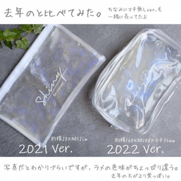 【100均】この夏の必需品！かわいくてひんやりな保冷剤ポーチって知ってる？