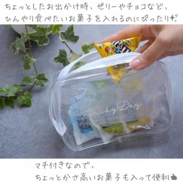 【100均】この夏の必需品！かわいくてひんやりな保冷剤ポーチって知ってる？