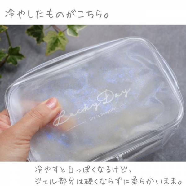 【100均】この夏の必需品！かわいくてひんやりな保冷剤ポーチって知ってる？