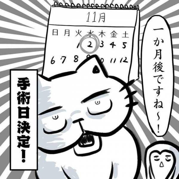 ＜卵巣のう腫体験談＞「手術日は…」ついに決定！不安すぎる私がとった行動とは…！？