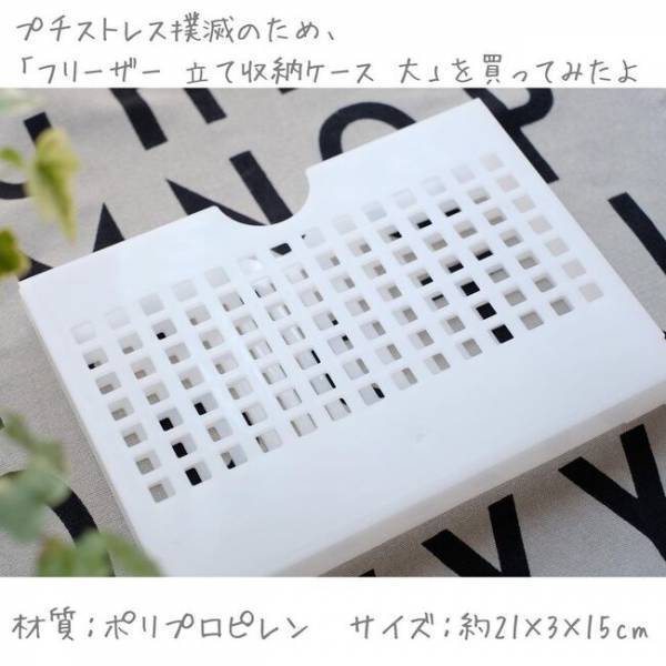 【ダイソー】「買ってよかった！」立ててスッキリ！フリーザー立て収納ケースの活用アイデア！