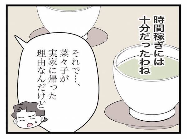 ＜ヤバい義母＞「家に来ないで！」パパが義母の来訪を拒否！すると義母が驚愕の言動を…