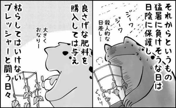 夏休みの親子に課せられたまさかのミッション！！なんともハイプレッシャーな朝顔観察の結末は…？