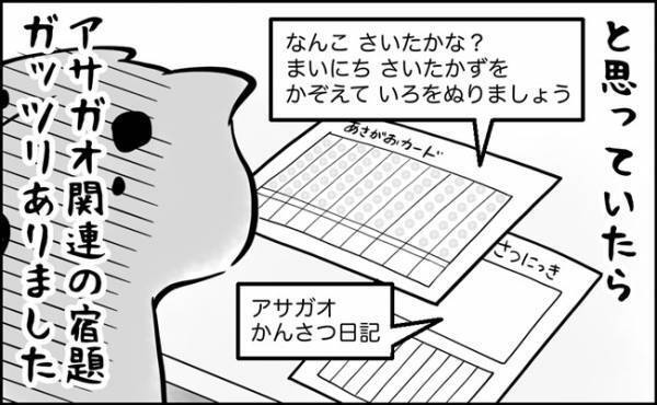 夏休みの親子に課せられたまさかのミッション！！なんともハイプレッシャーな朝顔観察の結末は…？