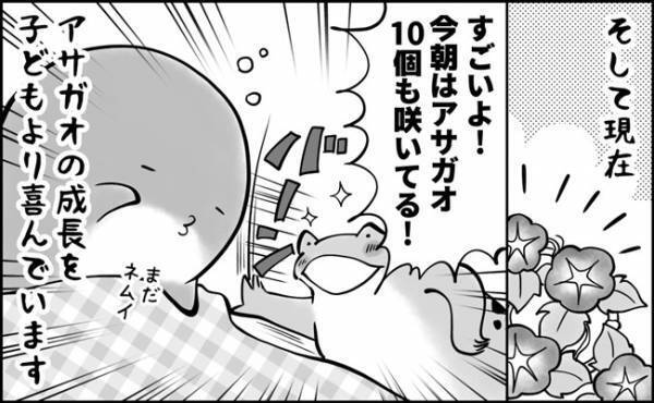 夏休みの親子に課せられたまさかのミッション！！なんともハイプレッシャーな朝顔観察の結末は…？