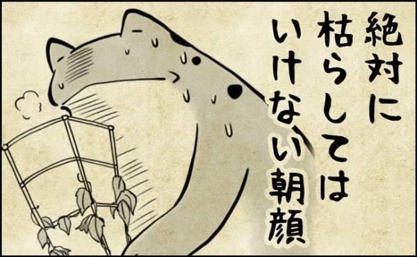 夏休みの親子に課せられたまさかのミッション！！なんともハイプレッシャーな朝顔観察の結末は…？