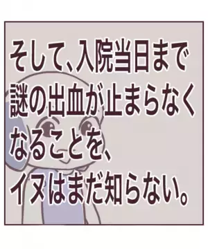 ＜チョコレート嚢胞体験談＞「生理がこない」原因はストレス？それともまさか…思い当たるのは