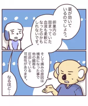 ＜チョコレート嚢胞体験談＞「この痛みに耐えろと？」身も心もボロボロ。でも飲み続けなきゃいけなくて