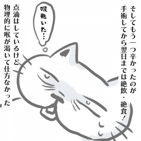 ＜卵巣のう腫体験談＞「絶食で水も飲めない」最もつらい24時間だった…驚愕の術後とは！？