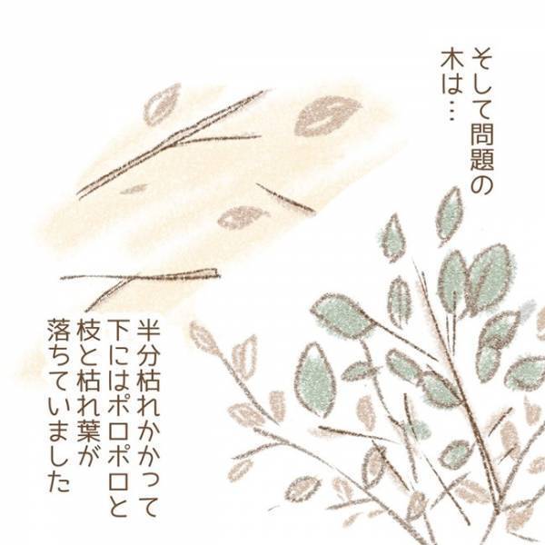 ＜息子が冤罪に？＞「本当にここ？」息子が「木を折った」と言われた場所に行くも、予想外の光景に父は