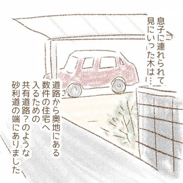 ＜息子が冤罪に？＞「本当にここ？」息子が「木を折った」と言われた場所に行くも、予想外の光景に父は