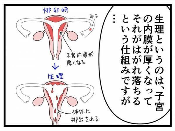 「入れてみないとわかりません」経産婦におすすめ？医師がめっちゃ推すワケは…