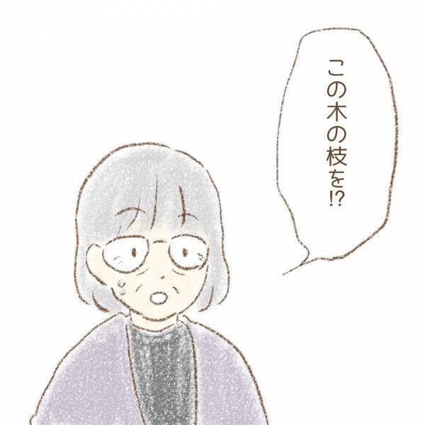 ＜息子が冤罪に？＞「謝罪は…」息子たちが「木を折った」と言われた、お宅への謝罪の話を確認すると…