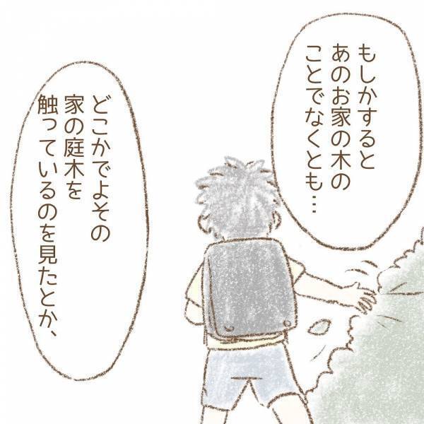 ＜息子が冤罪に？＞「謝罪は…」息子たちが「木を折った」と言われた、お宅への謝罪の話を確認すると…