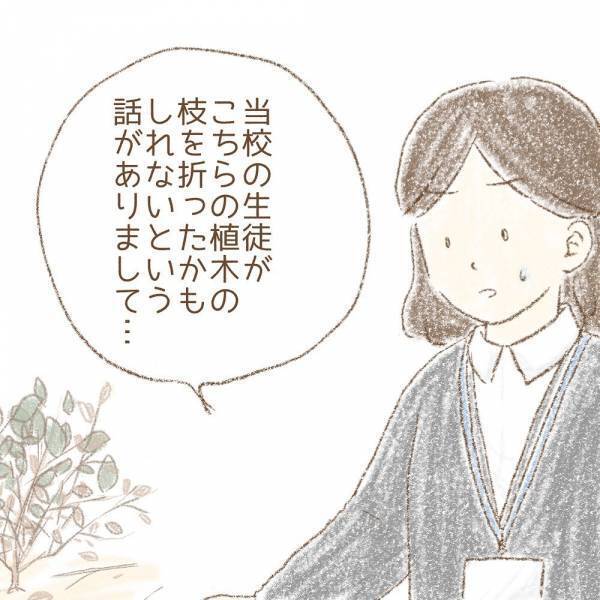 ＜息子が冤罪に？＞「謝罪は…」息子たちが「木を折った」と言われた、お宅への謝罪の話を確認すると…