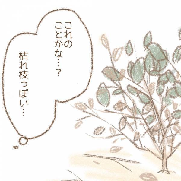 ＜息子が冤罪に？＞「謝罪は…」息子たちが「木を折った」と言われた、お宅への謝罪の話を確認すると…