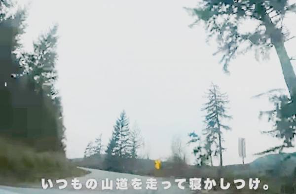 トレーラーハウスで家族4人、海外暮らしを実現！？トレーラーと生活費は破格？朝のルーティーンを紹介