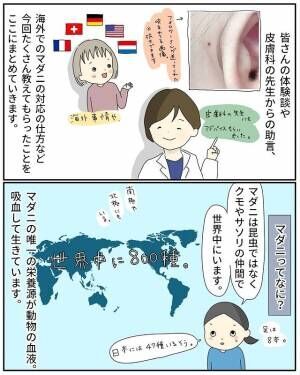 マダニに咬まれた日