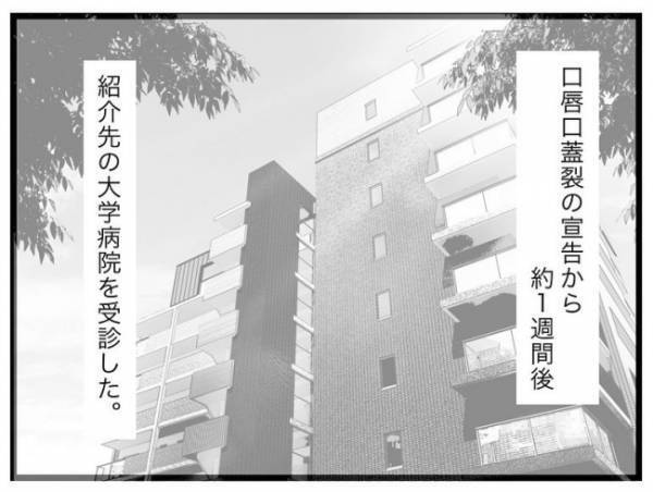 「我々が危惧しているのは…」検査のため大きい病院へ。医師からは驚きの発言＜口唇口蓋裂＞
