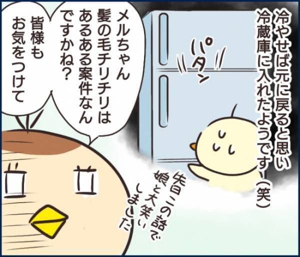 「そろそろ夕飯の準備を…」と冷蔵庫を開けるとなんと！！目が飛び出しそうになるとはこのことだった！