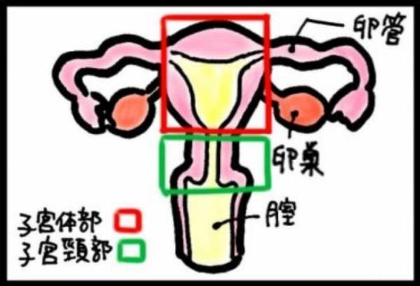 ＜40代で子宮がん＞「ギャーッ！！」43歳の誕生日、体の一部に強烈な異変を感じて…