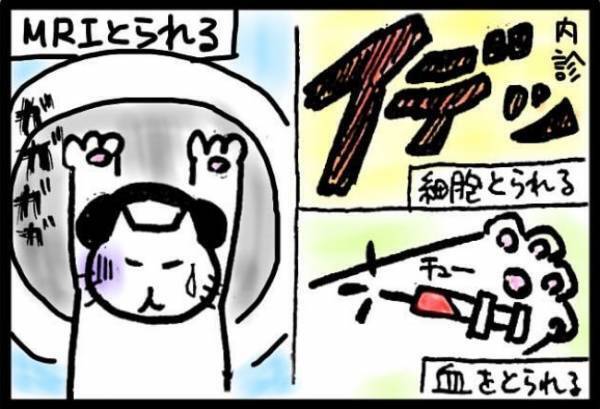 ＜40代で子宮がん＞「ギャーッ！！」43歳の誕生日、体の一部に強烈な異変を感じて…