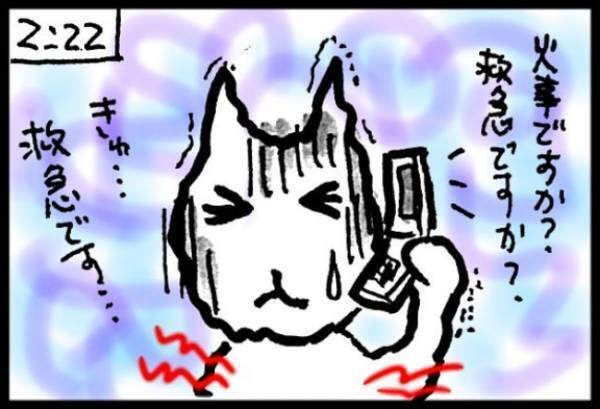 ＜40代で子宮がん＞「イテーッ！！」緊急事態で救急車要請！？深夜に胃に激痛！原因は？