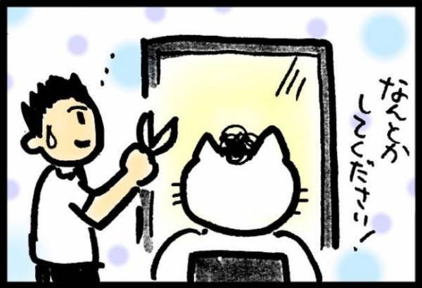 ＜40代で子宮がん＞「ええーっ！？」がんサバイバーあるある！？髪質の変化に驚愕！