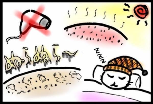 ＜40代で子宮がん＞「ええーっ！？」がんサバイバーあるある！？髪質の変化に驚愕！