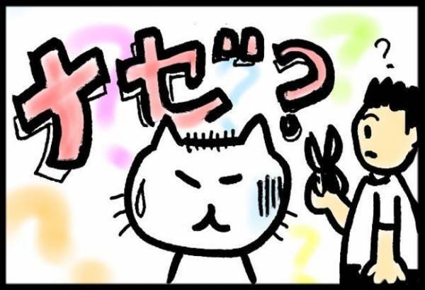 ＜40代で子宮がん＞「ええーっ！？」がんサバイバーあるある！？髪質の変化に驚愕！