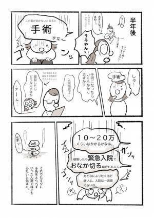 ＜チョコレートのう胞手術＞「なに言ってんの！」お金がなく手術を渋る私に母が突きつけたものとは！？