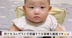 【3つ子ちゃん】離乳食どうしてる！？初めての離乳食に密着！それから5カ月後、まさかの争奪戦へ