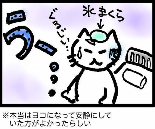 「まさか人生で3回もおなかを切るなんて」強烈な腹部の痛みの原因は？＜40代で子宮がん＞