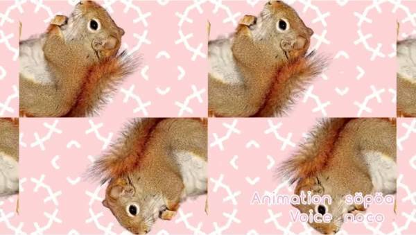 【0~2歳におすすめ】76万回再生！寝る前の15分で遊びながら、赤ちゃんの知育ができる！