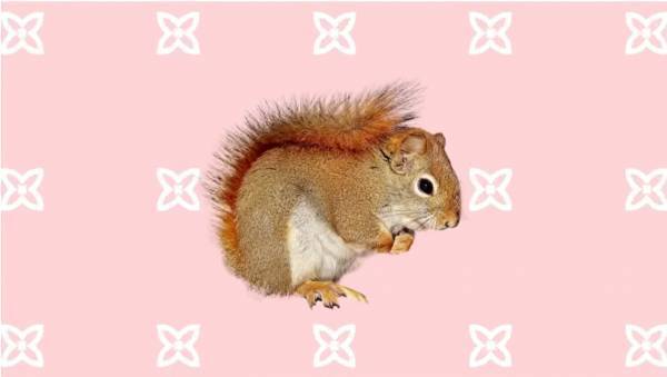 【0~2歳におすすめ】76万回再生！寝る前の15分で遊びながら、赤ちゃんの知育ができる！