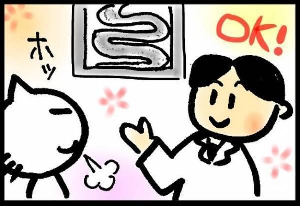 「癒着が残っているので…」私を不安にかりたてる医師の言葉とは？ ＜40代で子宮がん＞