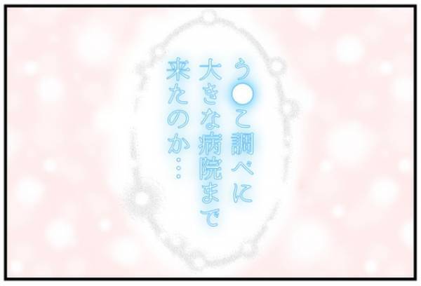 「白いモヤモヤしたものは…」ヒィィィ！おなかの中身に驚愕！＜おなかの中身は？＞