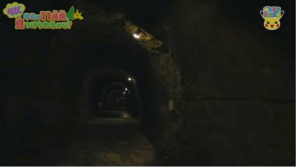 「11種類のポケモンを探せ！」自然の中にいるポケモンのクイズが意外と難しい！？【ポケモン】