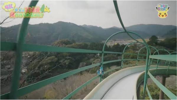 「11種類のポケモンを探せ！」自然の中にいるポケモンのクイズが意外と難しい！？【ポケモン】