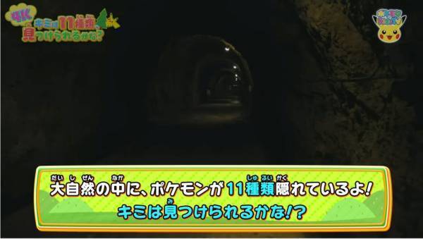 「11種類のポケモンを探せ！」自然の中にいるポケモンのクイズが意外と難しい！？【ポケモン】